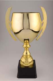 Cupe Sportive CS 09